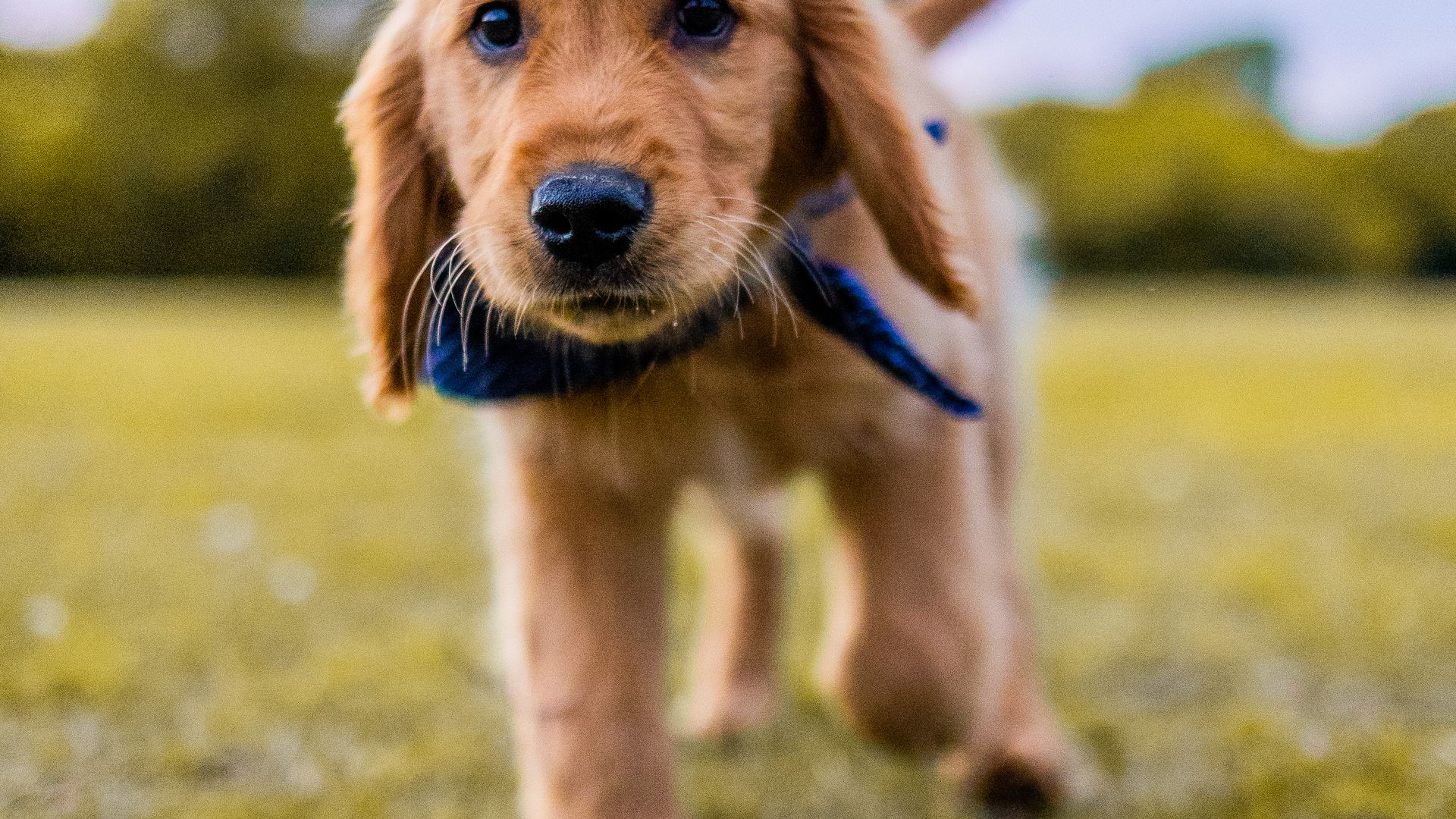 pexels-photo-7643253